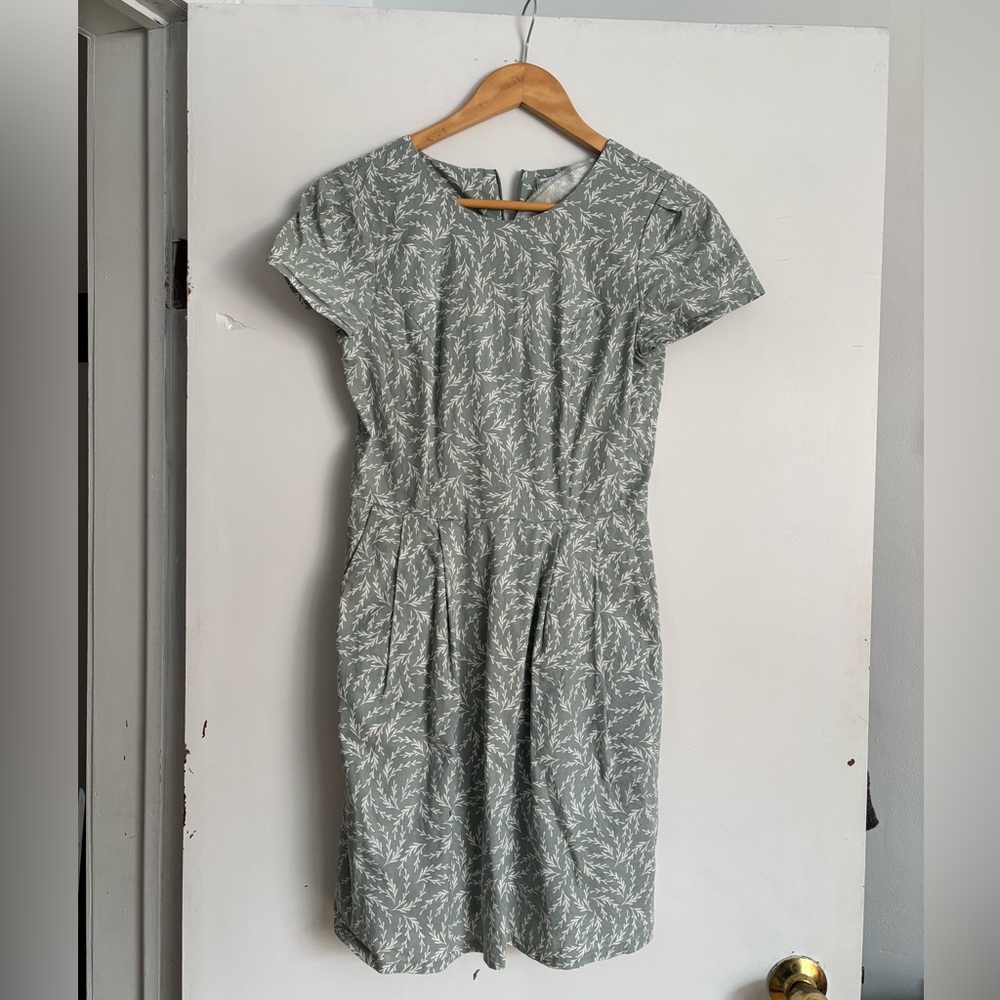 Birds of North America Sage Green Dress